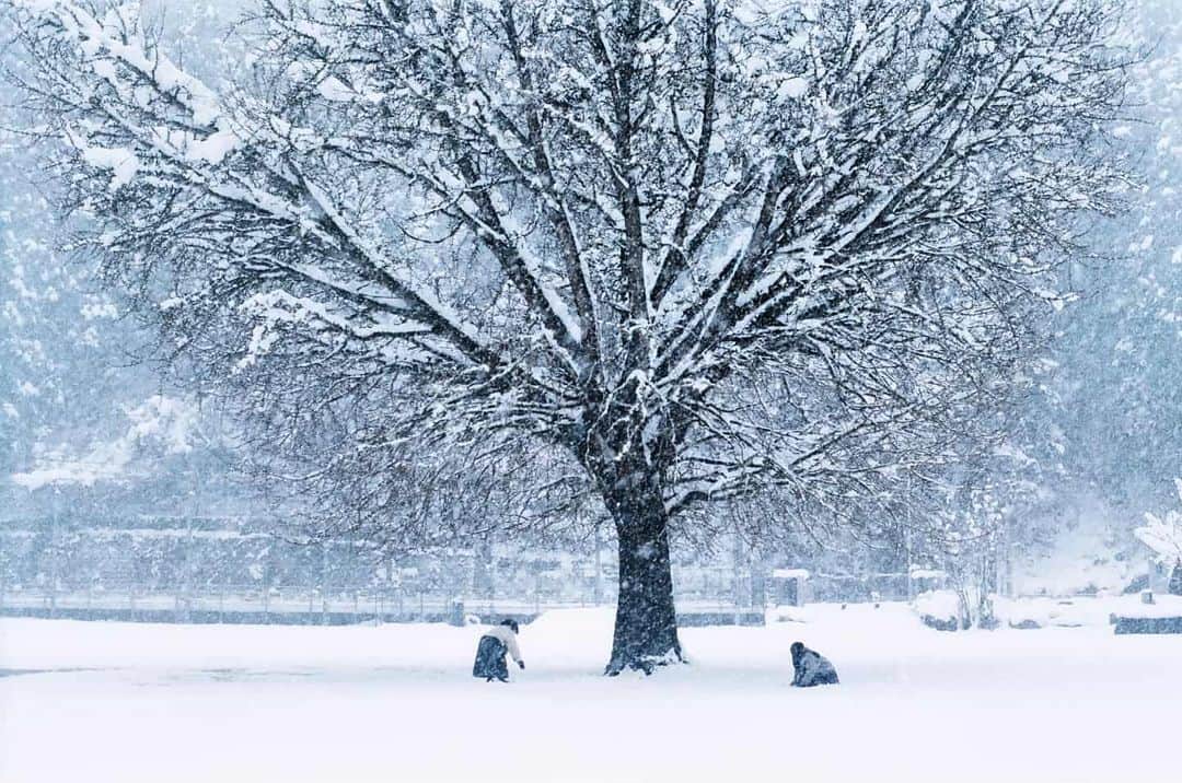 岩倉しおりさんのインスタグラム写真 - (岩倉しおりInstagram)「雪遊び。 今年は香川に雪降らないのかな。。冬の美しさに気づけたのに冬がなくなっていくのは寂しいな。」1月21日 1時15分 - iwakurashiori