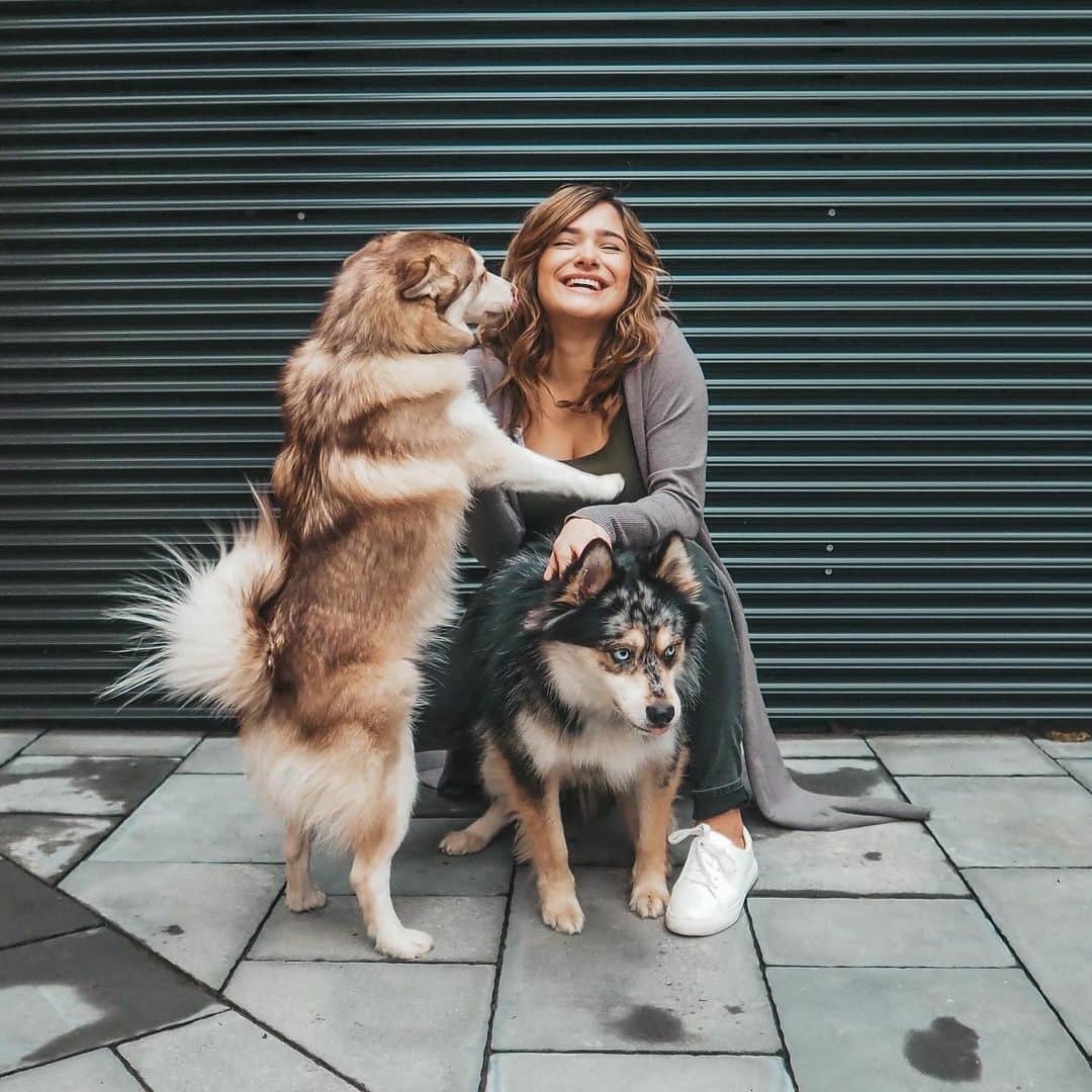 チャチー・ゴンザレスのインスタグラム：「Aggressive kisser is an understatement 🐶🐶 @t.rexthepom @bandit.thepom • • I posted a new video and the intro is cuteness overload with Sophia...link in bio if you’re interested!」