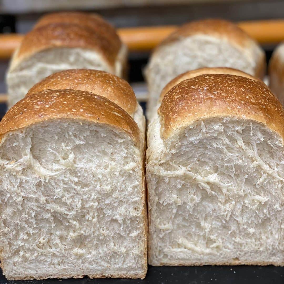 魔女菅原のグルメインスタ