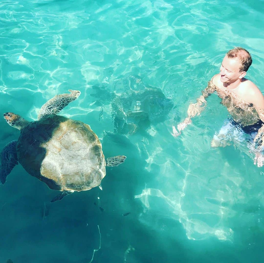 アンドレイ・ロゴジンのインスタグラム：「Fun in the sun ☀️ and some turtles 🐢 and friends! Thanks for being super photographers @la_poloca and @lottamalinen #turtles #turtle」