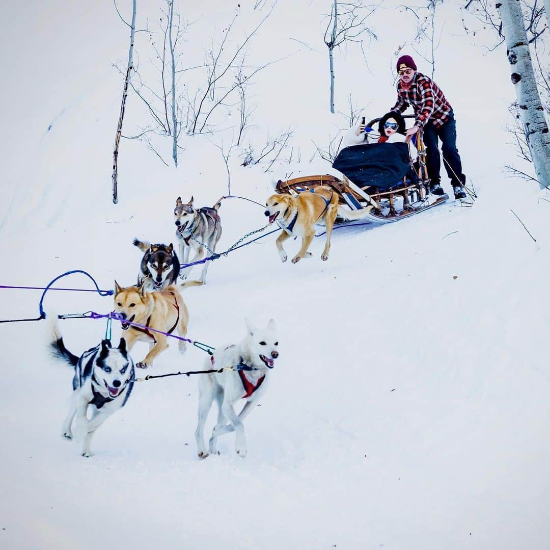 B. Akerlundさんのインスタグラム写真 - (B. AkerlundInstagram)「Winter ❄️ fun ...... #dogsledding 🐶 #aspen」1月21日 5時15分 - bcompleted