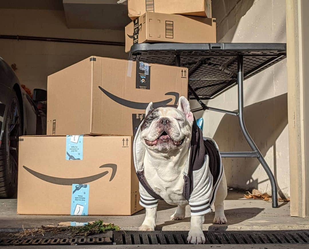 Manny The Frenchieのインスタグラム：「1st month of 2020 going great! Right on track with my new year’s resolution of making things easier for myself and what's easier than in-garage delivery! 😄 #myQConnected #InGarageDelivery」