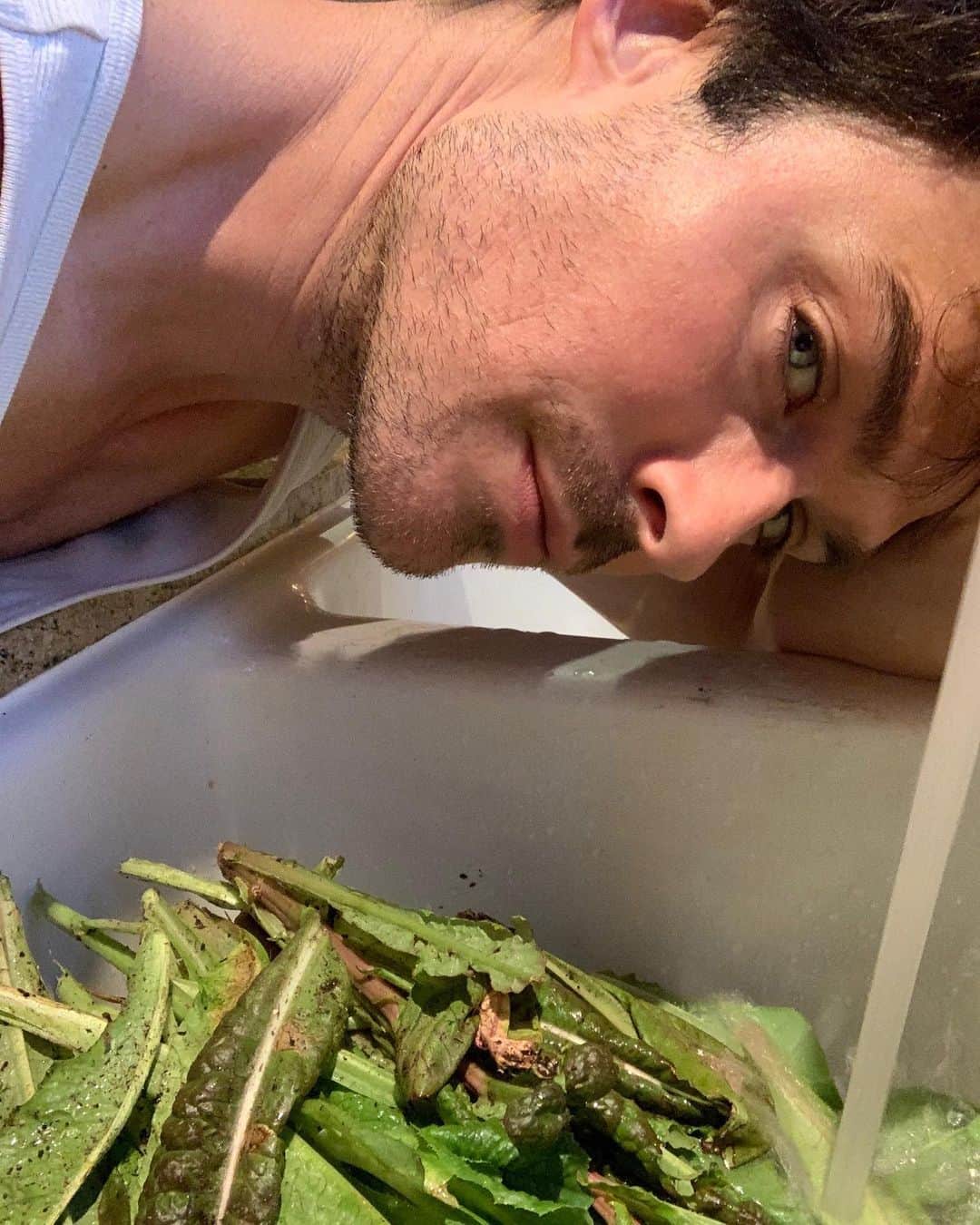 イアン・サマーホルダーさんのインスタグラム写真 - (イアン・サマーホルダーInstagram)「Family harvest day, one of many... With our little helper. Bonding while picking our greens and watching our little girl’s growing connection with the beautiful dark soil in her tiny hands as a living breathing organism that gives life to her breakfast, lunch, snacks and dinner is beyond special. And necessary. We need the world as a whole, not just our kids to know how to nourish ourselves and our planet’s soil. The soil is our biggest asset and yet MOST of the world’s food producers have no clue how their soil even works. This should scare you and them. You can create healthy soil and can grow food on a windowsill in New York City, Los Angeles or a backyard farm in Ohio. BUT I offer you this with much excitement and please mark my words: when large-scale agriculture turns to regenerative agriculture and our growing food eats our carbon output every year AND eats the legacy load of carbon in the air by a process called bio sequestration aka DRAWNDOWN (read Paul Hawken) climate change will STOP. We AND our children will thrive. Its our DUTY. There simply will be no more Australian or California bush fires. No more melting ice or bleaching coral. THIS is our only hope. We have the answer and the film is coming soon- it’s called  @kisstheground directed by my dear brother Josh Tickell. We hope you are as inspired as we are. Thank you」1月21日 5時37分 - iansomerhalder