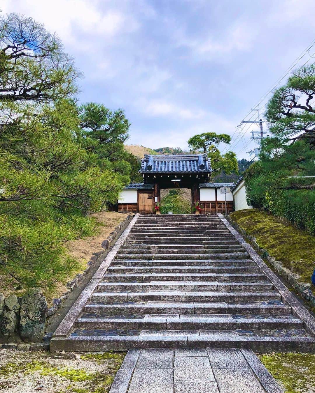 hama_aki_pppさんのインスタグラム写真 - (hama_aki_pppInstagram)「京都市左京区#霊鑑寺門跡 (スライドして下さい) Location Kyoto Japan Reikanji (Swipe)  2020年1月13日  なんとか英語表記は戻りました🙌ジワジワいいね返しながらpost再開です。 今回は椿のお寺として有名な霊鑑寺🌺🌺行った時は椿はまだこれからって感じでしたが苔が非常に美しかったです。  #神社仏閣　 #寺院仏閣　 #美しい日本　 #日本の絶景　 #そうだ京都行こう  #絶景delic  #にこta  #日本庭園  #total_asia  #amazing_shotz  #top_favorite_shots  #amazingview  #traveljapan  #inspring_shot #日本ツアーズ  #wonderful_places  #worldbestshot  #japanesetemple  #japanesegarden  #lovers_united_japan  #jalan_travel  #ap_japan_  #タビジェニ　 #dokoiku  #rakutentravel」1月21日 6時03分 - hama_aki_ppp