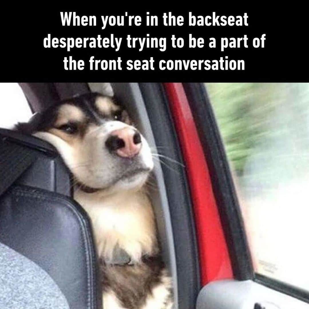 9GAGさんのインスタグラム写真 - (9GAGInstagram)「Or just me trying to be part of any conversation in general⠀ #backseat #conversation #9gag」1月21日 6時20分 - 9gag