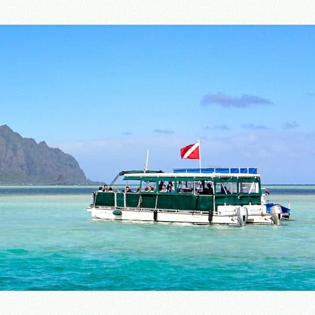 Luxury Cruise by Captain Bruceさんのインスタグラム写真 - (Luxury Cruise by Captain BruceInstagram)「ハワイ オアフ島🌴⁠ ⁠ボートに乗って10分程沖へ出ると、エメラルドグリーンに広がる浅瀬が見えてきます。 ⁠ #captainbruce #sandbar #kaneohe #hawaii #oahu #boat #vacation #travel #ahuolaka #キャプテンブルース #天国の海ツアー #天国の海 #サンドバーツアー #アフオラカ #ハワイ大好き #オアフ島 #絶景 #海」1月21日 6時43分 - cptbruce_hi