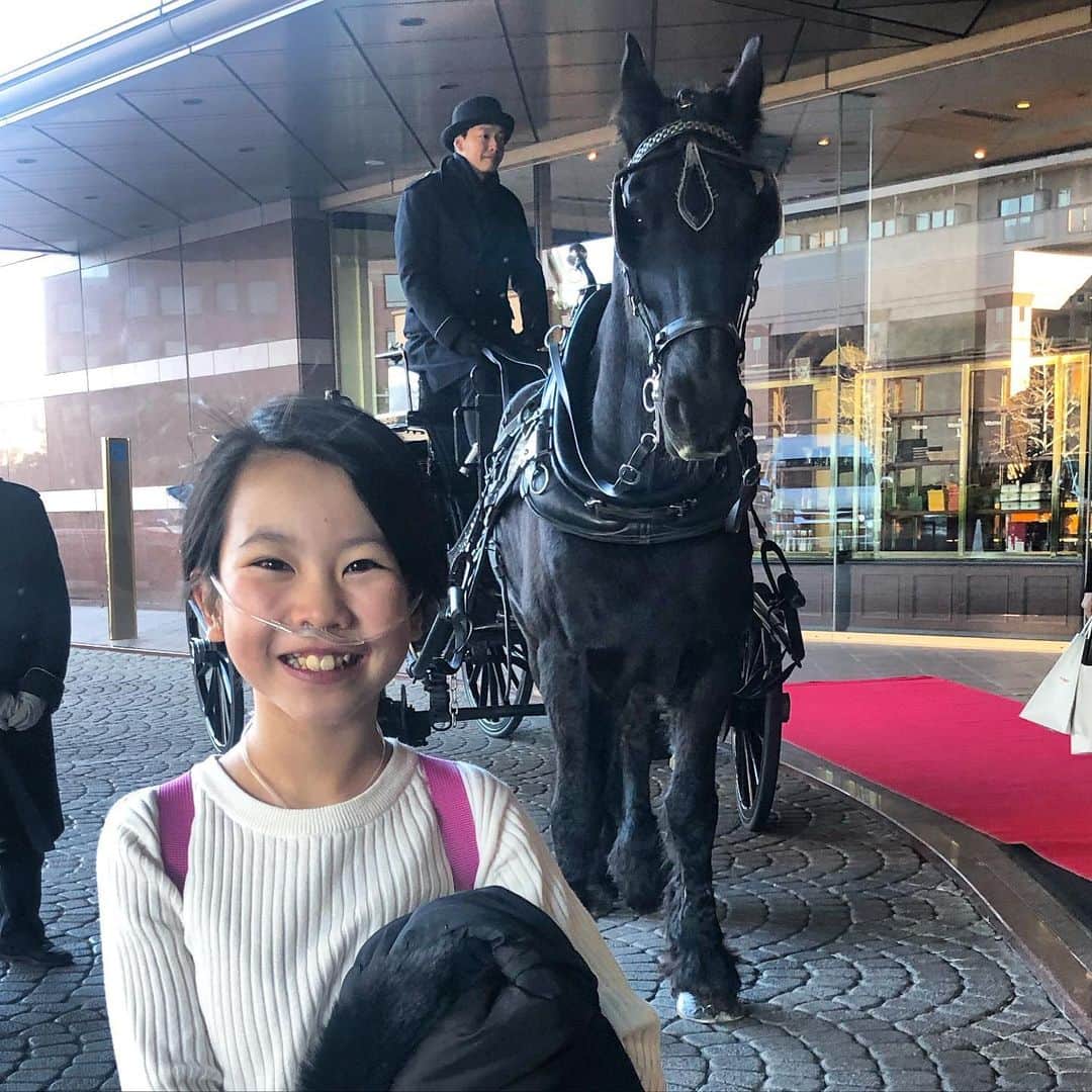 yukiさんのインスタグラム写真 - (yukiInstagram)「おはようございます。  都会のど真ん中にお馬さん🐴 お目々クリックリでかわいさ満点！ お仕事、がんばってね🤎 #馬車 #お馬さん #動物と話ができます #話しかけたらうなずいてくれた  #愛おしさ満点  #milka」1月21日 7時16分 - milkayuki