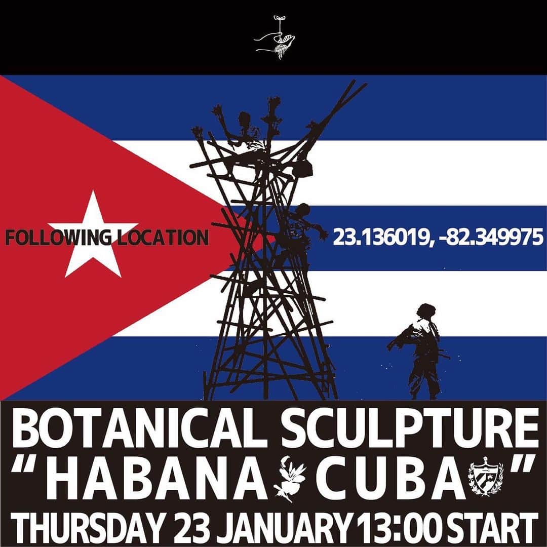 椎木俊介のインスタグラム：「Botanical Sculpture in Cuba  Date: January 23 Thursday, 2020 Location: Plaza Vieja 23.136019,-82.349975 *Please insert this numbers to your Google map.  @azumamakoto @amkk_project @shiinokishunsuke  #azumamakoto #makotoazuma #shiinokishunsuke #amkk #amkkproject #flowers #flowerart #botanicalsculpture #東信 #東信花樹研究所 #cuba #HABANA #PlazaVieja」