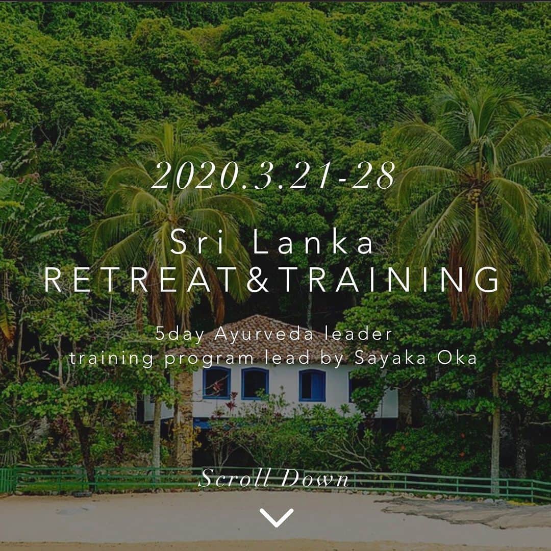 岡清華さんのインスタグラム写真 - (岡清華Instagram)「【Sri Lanka | Ayurveda Retreat & Training🌿】 . 遂に、いや、既に、新企画が動き出します。3月21-28日の第一回目の小規模開催を皮切りに、スリランカでのリトリート&トレーニング事業をスタートさせることをお知らせ致します。  ただの癒しのリトリートではなく、しっかり学び、経験し、生活に快適さ幸福感を体感し、豊かな人生について深く理解し、そしてその体験の後に、大切な周りの人々に伝えていただく。多くの人々にシェアすることで、幸福感や良いエネルギーは循環し、持続可能な健康、幸福を維持することに繋がると考えます。  あなたが癒えるとき、あなたの周りの誰かを、あなたのコミュニティを、環境さえをも癒すことができるのです。  学ぶ、体感する、そして伝える　#learnshareexperience この全てが包括的に叶えられる、新しいretreat&trainingを開催致します。  会場となるのは、スリランカにある最先端ホリスティック医療施設&リゾート。Kaya wellness resort.  @kayawellnessresort  アーユルヴェーダセンターでありながら、米国の高度精密検査機器が揃う西洋医学的な医療施設でもある西東洋融合的なコンセプト。そしてアーユルヴェーダ施設でありながら高級ホテルのような清潔感と、モダンな空間に私自身の人生メソッドとの親和性や類似性を強く感じています。兎に角、スリランカ にこんなところが…⁈と誰もが思う、オーシャンビューがたまらなく素敵な施設です。  そしてこのご縁を頂きましたのは奇跡的なタイミングと運命的な出会いをいただいた　@exserendib_ayurveda です。今回はこちらのクリニックのドクター、セラピスト様にもご協力頂きながら、内容とタイムスケジュールを組ませて頂きました。現地での全ての手配を行ってくださっています。  スケジュールや、内容、金額等の詳細に関しましては、本日公開致しましたMOTHER web siteのSri Lanka Retreatという欄からページをご覧くださいませ。  また、本件(スリランカ でのリトリート&トレーニング)を第一回目のアーユルヴェーダ指導者養成講座とさせて頂き、その後東京都内を始め、オンラインでの受講も頂けるように準備を進めて参ります。  共にAyurveda leader(導く人)として、アーユルヴェーダの啓蒙活動にjoinくださる皆様と学びを深めシェアできる時間を過ごせますことを楽しみにしています。  ご興味頂けた方はDMではなく、info@mother-japan.comへご連絡頂ければ幸いです。  尚、単発のAyurveda seminorにつきましても今まで通り開催予定で、event pageに4月までのスケジュールを更新しております。 basicを受けられなかった…など受け逃した場合、ご希望いただければ追加開催致しますので、是非お問い合わせくださいませ。 それでは引き続き何卒宜しくお願致します！  @mother___jp  @kayawellnessresort  @exserendib_ayurveda  #srilanka#retreat#training#leader#start #スリランカ #リトリート #指導者養成講座 #アーユルヴェーダ#ホリスティック#リゾート#予防医学#統合医療#管理栄養士#医療従事者#オンライン受講#伝統医学#本質#癒し#学び#リセット#スタート#導く人#一生の経験#人生のリスタート#初開催#初期メンバー#仲間#MOTHER」1月21日 7時40分 - okasaya