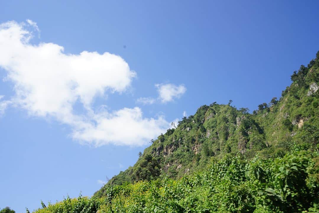 神野大地さんのインスタグラム写真 - (神野大地Instagram)「ケニアの箱根へ挑戦！ Altitude from 1524m to 2740m！ 20.5km！（4分33秒pkm）  箱根と比べ物にならないくらいキツかった〜！！ #ケニア合宿 #箱根駅伝 #山の神」1月21日 17時52分 - daichi_0913