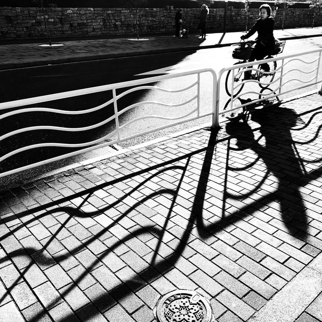 naotakeのインスタグラム：「斜光 - Slanting rays / iPhone XR & Snapseed, 20200122 . . 朝のラジオでは日中暖かいといっていたが、実際はとても寒かった。 . . #spicollective #royalsnappingartists #infamous_family #rsa_main #infinity_photo_cult #2_fineart #jp_gallery_member #jp_gallery_bnw #trb_bnw #wp_bnw  #bnw_life #bnwlife_member #bnw_life_shots #bnw_captures #world_bnw #top_bnw #team_jp_ #team_jp_モノクロ #ig_energy_bw #ig_nihon #streetphotographybnw #igersjp #blackandwhite #bnw #bnwphoto #monochrome #bw #bnwphotography #ShotOniPhone #shotoniphoneXR」
