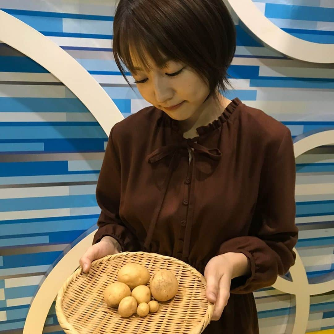 滝菜月さんのインスタグラム写真 - (滝菜月Instagram)「今年はじゃがいも収穫できて良かったね﻿ ﻿ と声をかけてもらうことが多い今日この頃です。﻿ ﻿ 昨年は金曜ヒルナンデスファームで﻿ ピンポン玉のじゃがいもしか収穫できず﻿ それはもうとてもとても悲しい気持ちでした。(２枚目) ﻿ もう一度挑戦させてもらえる環境に感謝しつつ﻿ ２年連続失敗はならぬ...とドキドキ。﻿ ﻿ 結果は、﻿ 見事こんなに立派なじゃがいもを収穫！！﻿ 夢にまでみたこぶし大！！！笑﻿ ﻿ オンエアでは紹介できませんでしたが、﻿ アンデス赤という品種(赤い皮)も育てて収穫しました。﻿ ﻿ ヒルナンデスで紹介した﻿ じゃがバタおかかは簡単でかなり美味しいです(3枚目)﻿ ひき肉の餡の煮物も作ってみました。 ﻿ ﻿#ヒルナンデス　#じゃがいも　#家庭菜園　#東京農家」1月21日 18時26分 - taki_natsuki