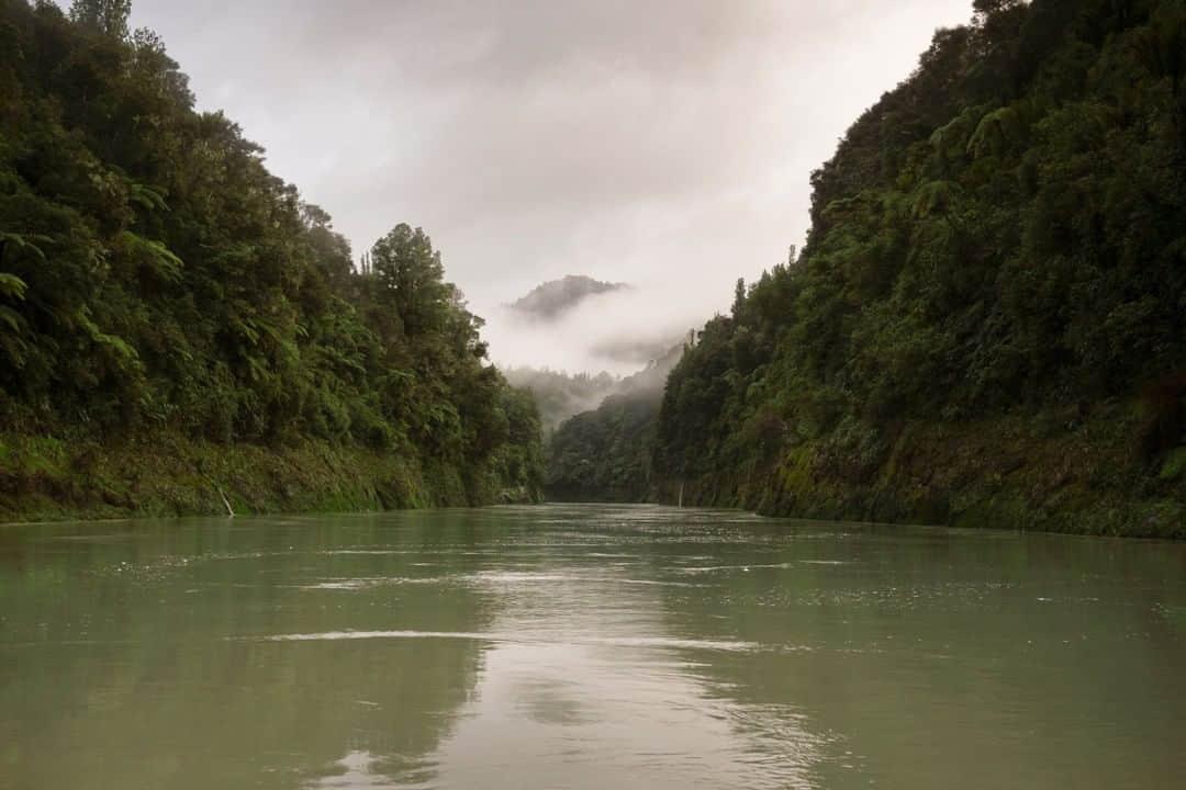 National Geographic Travelさんのインスタグラム写真 - (National Geographic TravelInstagram)「Photo by @mathiassvold | In a worldwide first, the Whanganui River in New Zealand has been granted the legal rights of a person. It’s a monumental victory for the indigenous Maori people, who view the river as an ancestor. For tourists, the river is popular for canoeing and kayaking.  Follow me @mathiassvold for more stories and nature images. #newzealand #whanganuiriver #whanganui」1月21日 10時05分 - natgeotravel