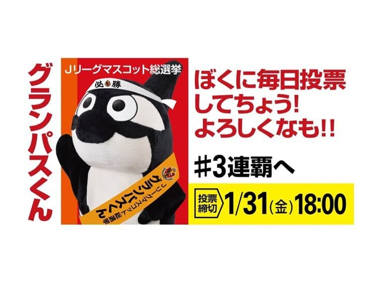 大黒柚姫さんのインスタグラム写真 - (大黒柚姫Instagram)「＊ 今日は朝から 2020年初の#クリーンアップキャンペーン に参加してきました✨ 最近お掃除モチベ高いので朝からいい気分です♪♪ お掃除の後はスタッフさんと#コメダ でモーニングして有意義な一日になりそうです🥖🍞🥐 . . そして現在#jリーグマスコット総選挙 開催中みたいです⚽️🏃🏼‍♂️ みんなー！我らが#グランパスくん に投票して3連覇目指しましょう😌❤️ #名古屋 #地元 #名古屋なんて大好き #サッカー #グランパス さん」1月21日 10時15分 - yuzuki_oguro_official