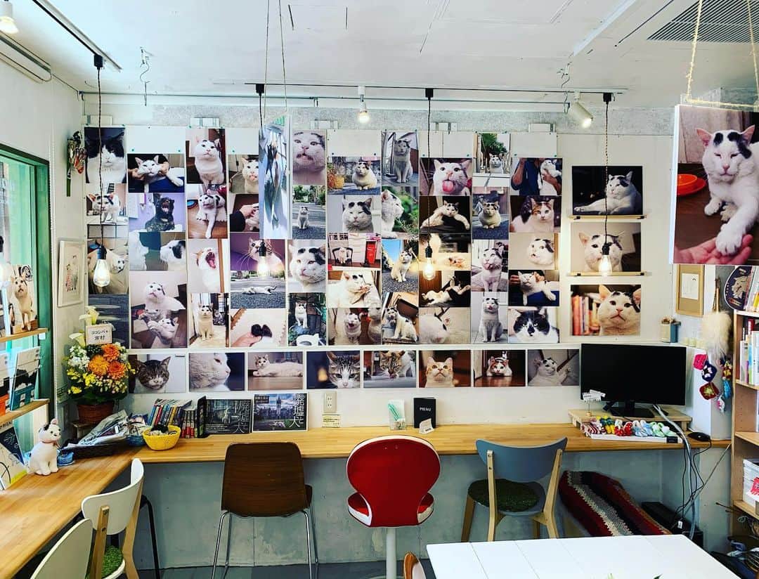 Kachimo Yoshimatsuのグルメインスタ