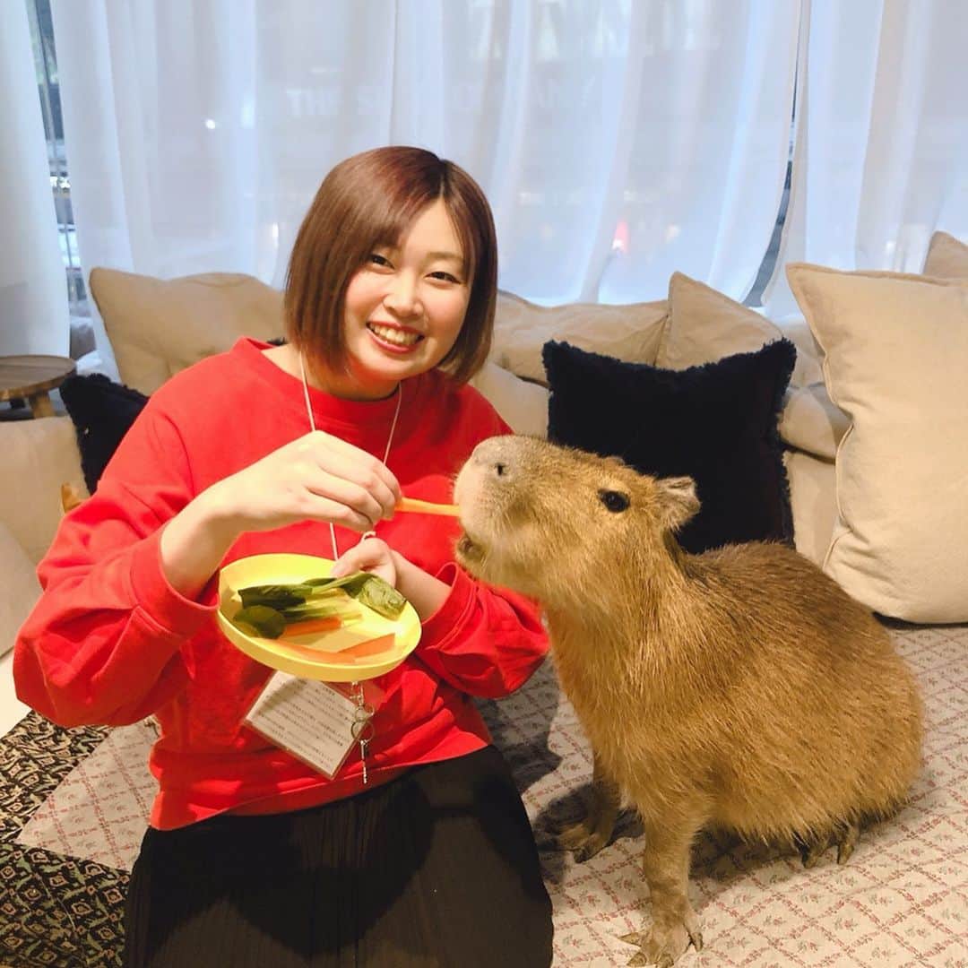 下平夏奈のグルメインスタ