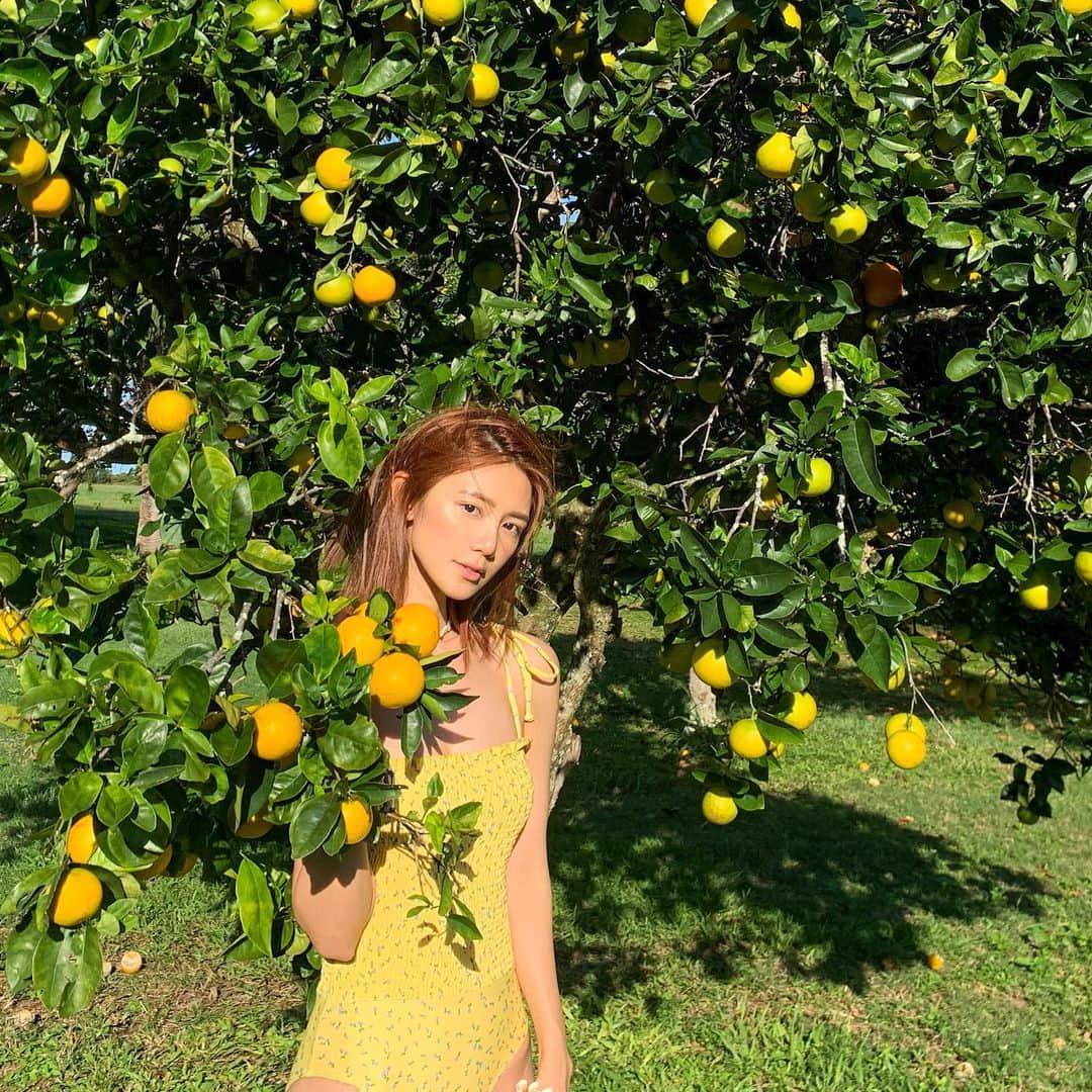 Elva Niさんのインスタグラム写真 - (Elva NiInstagram)「Pick some oranges for breakfast 🍊 #travelwithelva #haikuhouse  #haikumaui」1月21日 12時07分 - misselvani