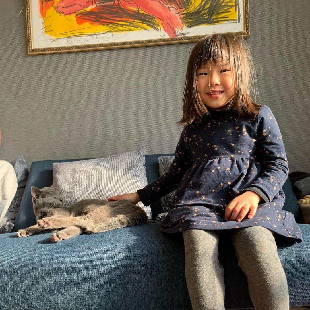 阿部裕幸さんのインスタグラム写真 - (阿部裕幸Instagram)「Koyuru, Kyle and My cat😊🤙🏻 #baby #mygirl #こゆるやま #7月生まれ #5歳 #myboy #myson #かいるまる #3歳 #4月生まれ #仲良し #rosianblue #mycat #ロシアンブルー」1月21日 12時20分 - abeani111
