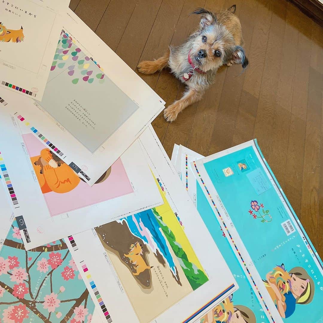 松尾たいこのインスタグラム
