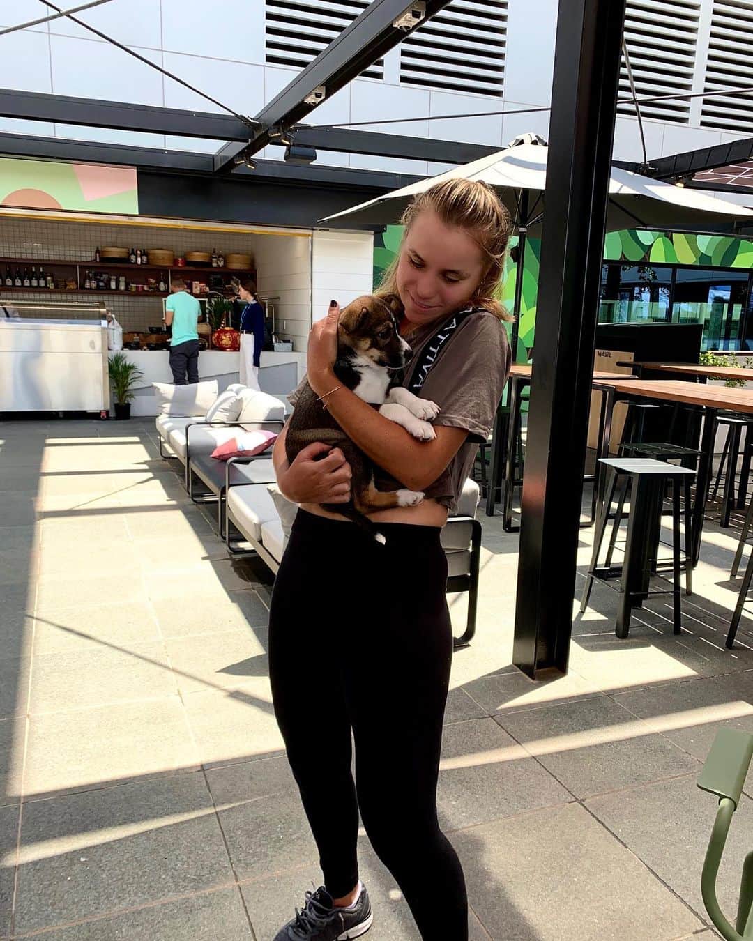 のインスタグラム：「Everyone, this is Whitney Houston 🐶 She’s such a cuite 😍 Help Second Chance Animal Rescue find a home for these precious puppies 🤗」