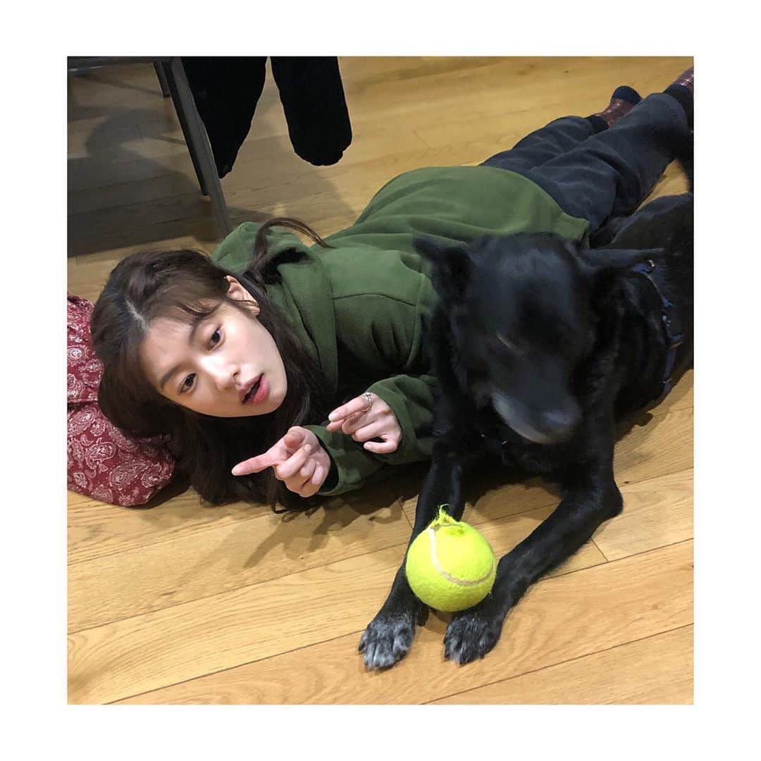 チョン・ソミンのインスタグラム：「••—••—••—••—••—••—••— 👩🏻 저기 한 번만 봐줘👈🏻👈🏻 🐶 시로 귀차나 이 언니야」