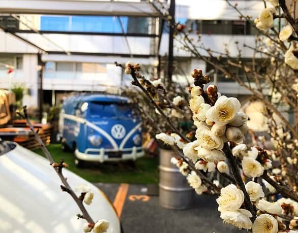 フォルクスワーゲンのインスタグラム