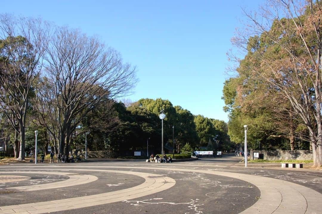 東京都庁広報課さんのインスタグラム写真 - (東京都庁広報課Instagram)「「代々木公園　（渋谷区神南）YoyogiPark/(2020.1.9撮影) 」 最寄り駅：原宿駅　明治神宮前原宿駅 #明治神宮　#表参道　#原宿　#神宮橋　#五輪橋 #代々木競技場 #代々木公園#beautifuldestinations #tokyotrip #tokyotravel #passionpassport #tokyojapan #instatokyo #loves_nippon #phos_japan #bestjapanpics #cooljapan #japan_of_insta #discovertokyo #photo_jpn #東京観光 #東京旅行 #illgrammers #景色 #お出かけ #東京 #Tokyo #东京 #도쿄 #tokyogood」1月21日 17時00分 - tocho_koho_official