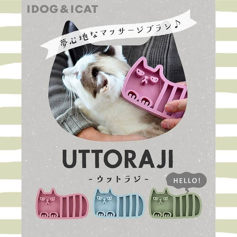 iDog&iCatさんのインスタグラム写真 - (iDog&iCatInstagram)「🐈✨ 大人気マッサージブラシ【UTTORAJI(ウットラジ)】に「しまネコ」が新登場♪ . *素材はヨーロッパの品質基準を満たした高品質なシリコン（LFGB基準） *長毛・短毛の子どちらにも使える形状です😸 . やわらかく優しいさわり心地のブラシは マッサージ効果もありブラッシングすれば思わずウットリ...✨ 皮膚を健康な状態へとサポート、ツヤのある毛を育てます。 . シリコン製なので水洗いOK、シャンプー時のブラッシングにも最適♪ 突起の間隔が広いので集めた毛のお掃除もとっても簡単です👍 . 商品番号/13589- 商品名/iCat UTTORAJI 夢心地なマッサージブラシ しまネコ 1,000＋税 スモーキーピンク/スモーキーブルー/カーキ . #idogicat #idog #icat #犬の服idog #犬 #猫 #マッサージブラシ #シリコンブラシ #ブラッシング #抜け毛対策 #水洗いOK #しまネコ #UTTORAJI」1月21日 17時13分 - idogicat