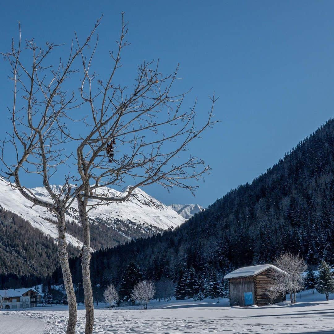 リー・シェンロンさんのインスタグラム写真 - (リー・シェンロンInstagram)「Took a short #jalanjalan after lunch to enjoy the sunshine and the bracing alpine air. The whole Singaporean delegation delighted in tromping through the knee-high snow — a novel experience for us! – LHL #wef20 ⠀⠀⠀⠀⠀⠀⠀ (Photos by me)⠀⠀⠀⠀⠀⠀⠀」1月21日 17時26分 - leehsienloong