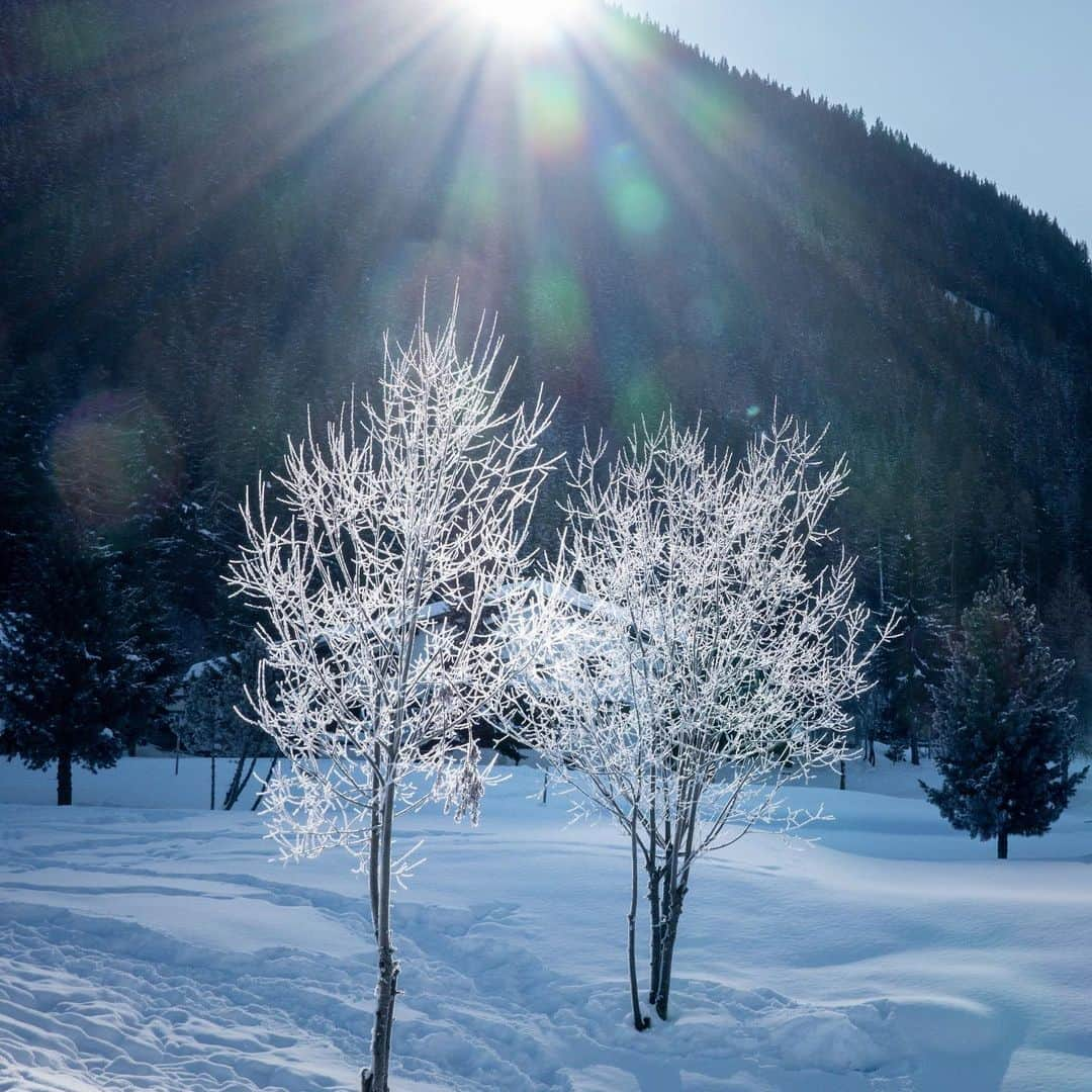 リー・シェンロンさんのインスタグラム写真 - (リー・シェンロンInstagram)「Took a short #jalanjalan after lunch to enjoy the sunshine and the bracing alpine air. The whole Singaporean delegation delighted in tromping through the knee-high snow — a novel experience for us! – LHL #wef20 ⠀⠀⠀⠀⠀⠀⠀ (Photos by me)⠀⠀⠀⠀⠀⠀⠀」1月21日 17時26分 - leehsienloong