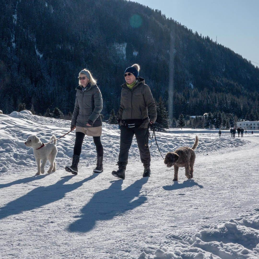 リー・シェンロンさんのインスタグラム写真 - (リー・シェンロンInstagram)「Took a short #jalanjalan after lunch to enjoy the sunshine and the bracing alpine air. The whole Singaporean delegation delighted in tromping through the knee-high snow — a novel experience for us! – LHL #wef20 ⠀⠀⠀⠀⠀⠀⠀ (Photos by me)⠀⠀⠀⠀⠀⠀⠀」1月21日 17時26分 - leehsienloong