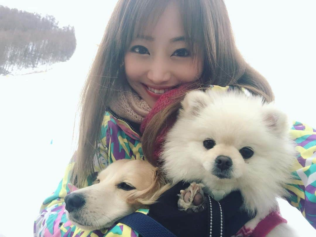 葵ゆりかさんのインスタグラム写真 - (葵ゆりかInstagram)「ぼくたちと雪遊び♡  #愛犬　#にょろ　#おもち　#ミニチュアダックス #パピヨン　#マルチーズ　#ポメラニアン　#pomeranian #白ポメ　#ポメ　#わんことお出かけ　#雪山　#ゲレンデ　#軽井沢　#いぬ　#dog #instadog #dogstagram #inustagram #わんこ　#そり遊び  #そり　#犬」1月21日 17時34分 - yuriyuricchi