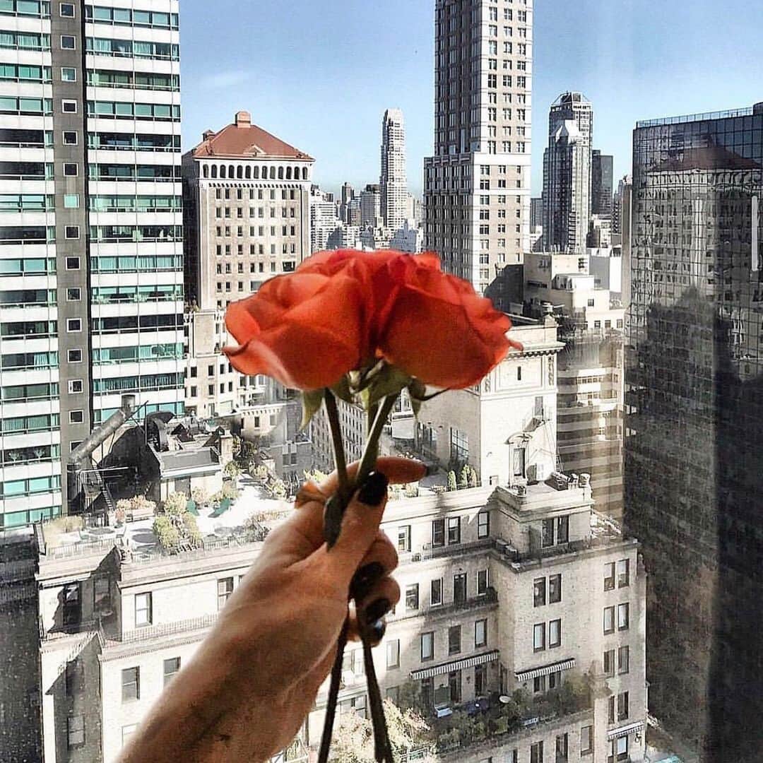 のインスタグラム：「Will you accept this rose? @camilacoelhocollection #catherinemalandrino #catherinecatherine #womensfashion #womensstyle #roses #bouquet #girlsworld」