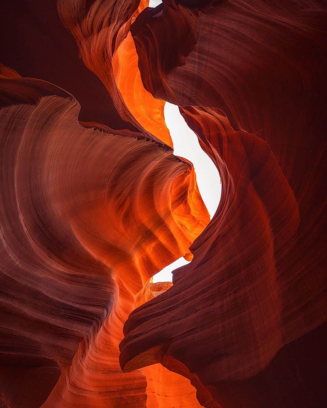Chase Dekker Wild-Life Imagesのインスタグラム：「While I’m a little late in spreading the news, Upper Antelope Canyon in northern Arizona has stopped giving photography tours. While Lower Antelope Canyon had taken this stance a few years back, it was still possible to bring a tripod into Upper Antelope to get the classic shots that millions have taken before. While one can still bring a camera with them, capturing the dynamic range of light and color will be immensely difficult without a tripod and some time to breathe and think. This shot here was actually taken in Lower where I had to hold myself as steady as possible and take multiple exposures and realign and blend them later. I have mixed feelings about the end of the photography tours as I had a blast during my visit, but understand how the overcrowding is becoming a bigger issue. What do you think?」