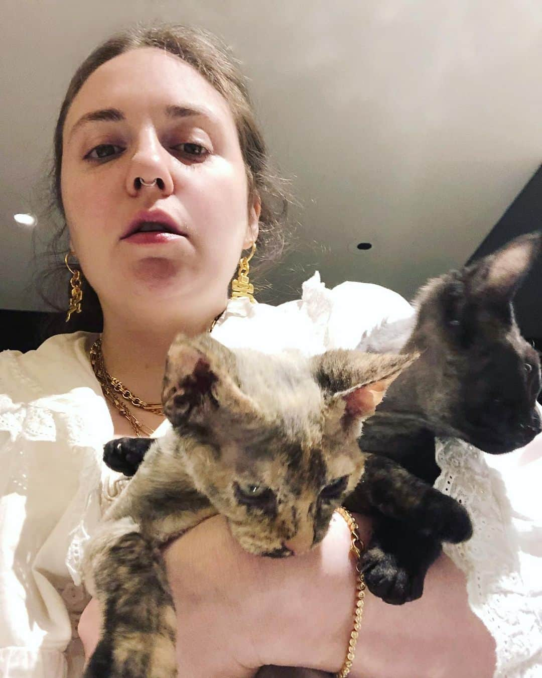 レナ・ダナムさんのインスタグラム写真 - (レナ・ダナムInstagram)「And it was then, walking to the refrigerator at 3am in her mustard-stained nightgown carrying an armload of cats, that she realized, “wow, it feels good to be a living, breathing destructive cliche about single women.”」1月22日 4時12分 - lenadunham