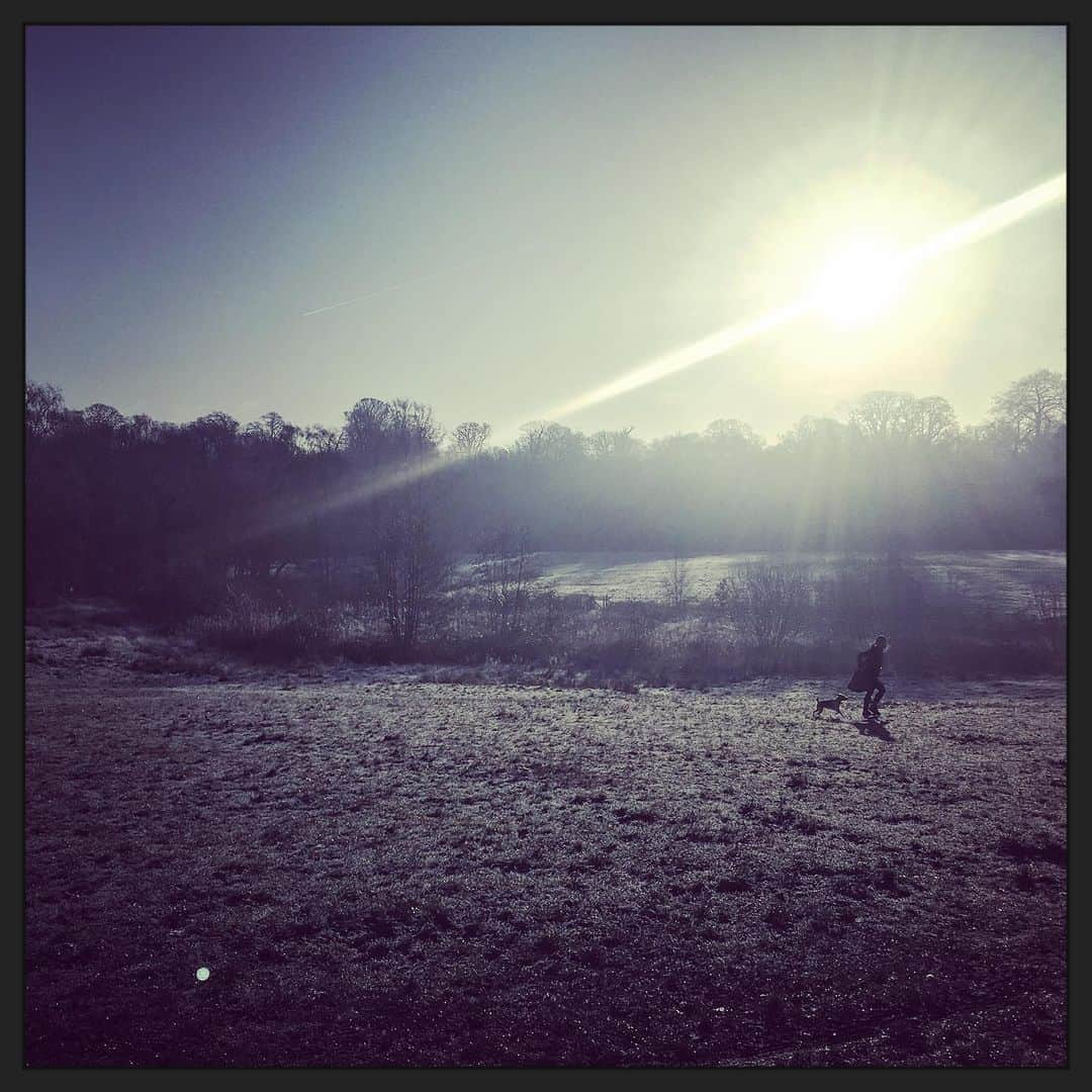 デビッド・モリシーさんのインスタグラム写真 - (デビッド・モリシーInstagram)「Such a lovely Billy walk this morning!」1月21日 20時02分 - davidmorrissey