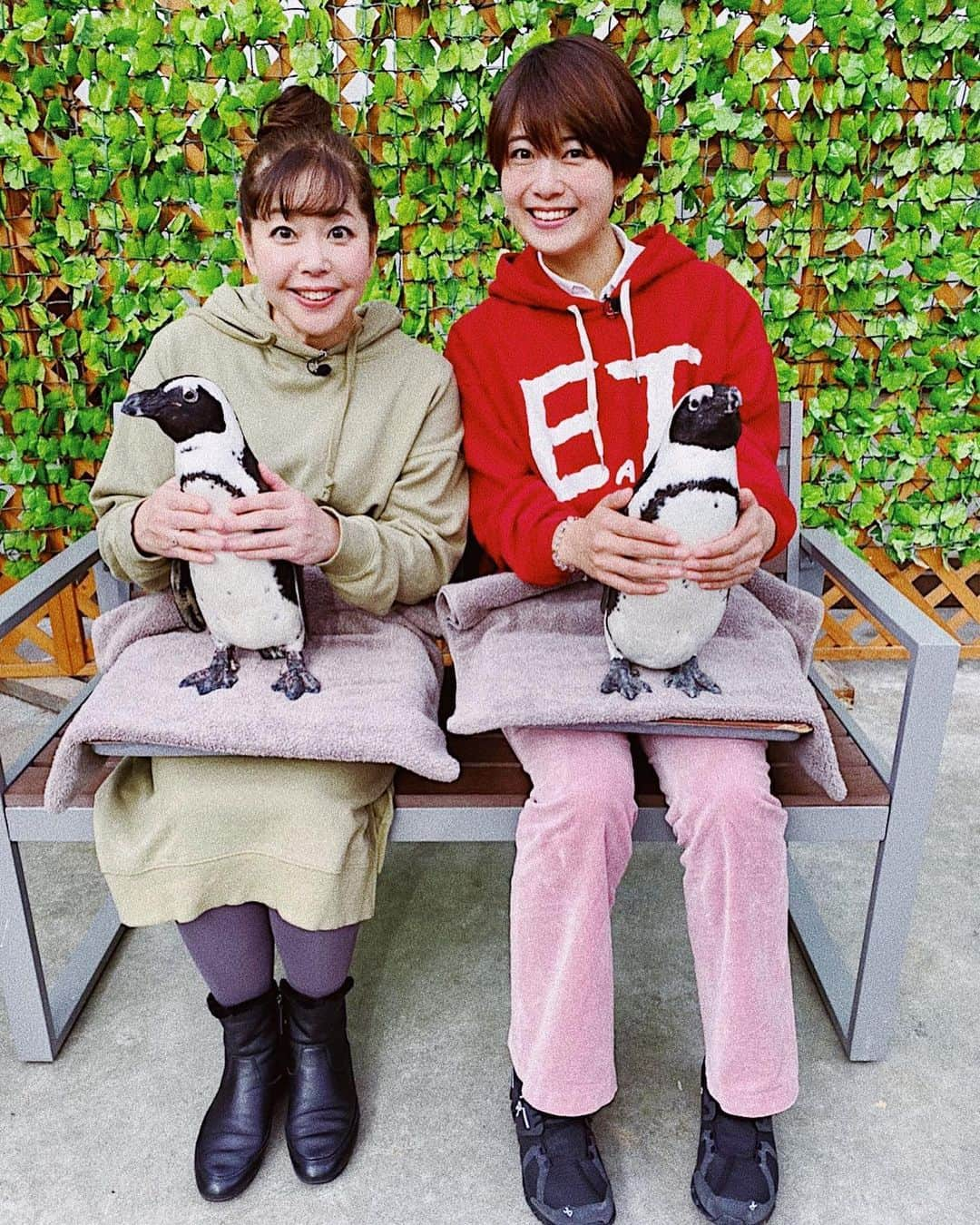 中村優さんのインスタグラム写真 - (中村優Instagram)「掛川花鳥園にて初めてペンギン🐧抱っこした❤️✨ #なかなか日本#tvk」1月21日 20時11分 - nkmr_yu