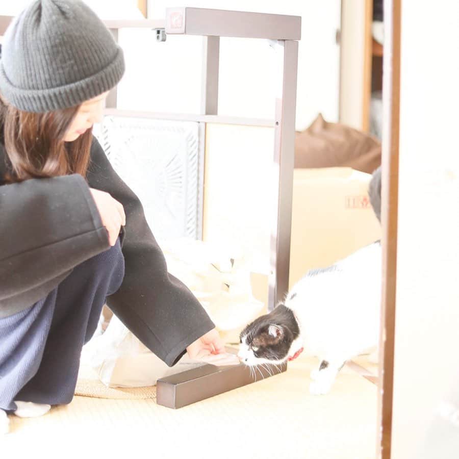 江本るり恵さんのインスタグラム写真 - (江本るり恵Instagram)「ひなちゃん🐱こんにちは🤍🤍 #真名子さんの写真 お掃除中」1月21日 20時28分 - emotorurie