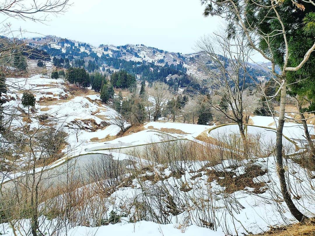 のインスタグラム：「________ #新潟 #棚田 . . . ○冬の棚田❄ . ○車での移動中の景観が とっても綺麗だったので 車をとめてもらって棚田を眺めたよ✨ . ○空気が澄んでいて深呼吸したら とっても気持ちが良かったな😳 . ○今年は雪が少ないみたいなので また来年も見に行きたい💞 . . ○美容も旅も大好きな事は しつこいくらい大好きな事を アップしてしまうので、 #新潟観光 の投稿も沢山していきます🙈 こういう情報が知りたいとかあったら教えてください✨ . . . . #ガストロノミー#新潟ガストロノミー #食景色 #日本海美食旅 #女子旅 #女子旅行 #新潟 #冬休み #バケーション #promotion」