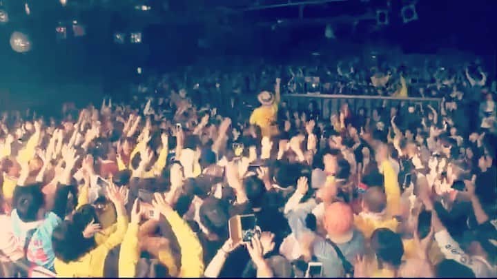 HIPPYのインスタグラム：「昨年末に開催されたHIPPYワンマンライブ ｢”YELL FOR YOU”TOUR 2019 ～君に捧げるありがとう～スーパーファイナル！｣ ———————————————————————————-108キロが屈強な仲間に担いでもらったあの夜w 泣いて笑って叫びまくってはしゃぎまくった夜♪ デビューから５周年！まだまだ行くと誓った夜！  1/24（金）深夜25:55〜【H♪LINE】にてオンエアー  ぜひごらんください」