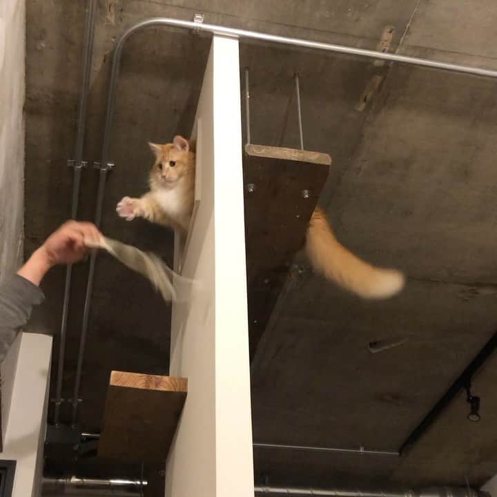 pon_0507のインスタグラム