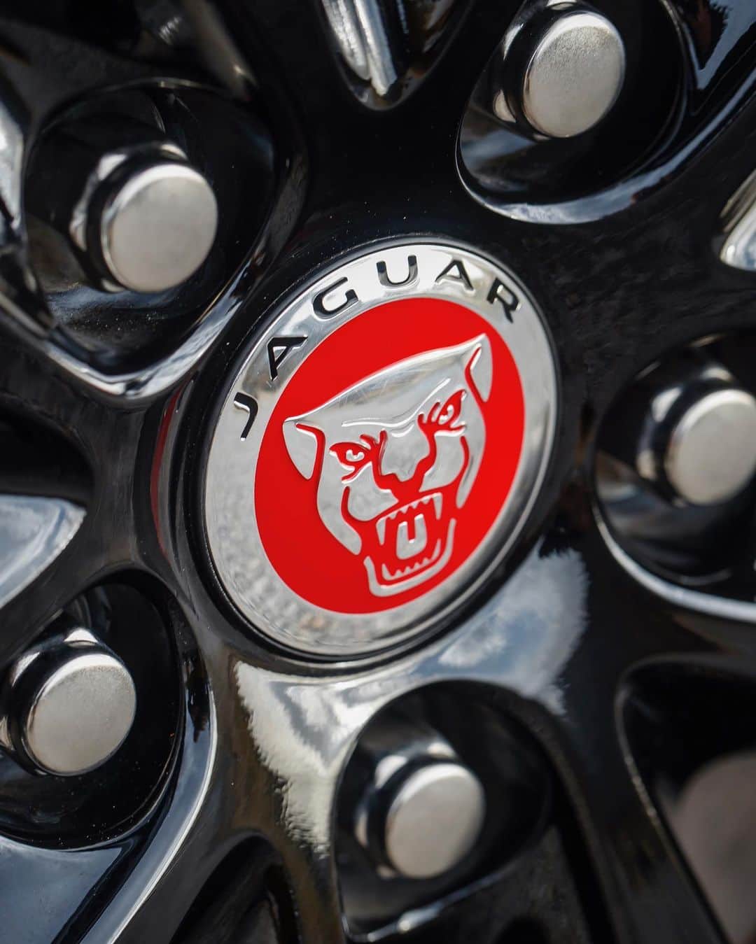 Jaguarさんのインスタグラム写真 - (JaguarInstagram)「Powerful, graceful and intelligent in every habitat. Search 'Jaguar XF Sportbrake' to design your ultimate luxury estate.  #Jaguar #XFSportbrake #Premium #Luxury #Dynamic #Performance #Estate #AWD #CarsofInstagram #InstaCar」1月21日 23時04分 - jaguar