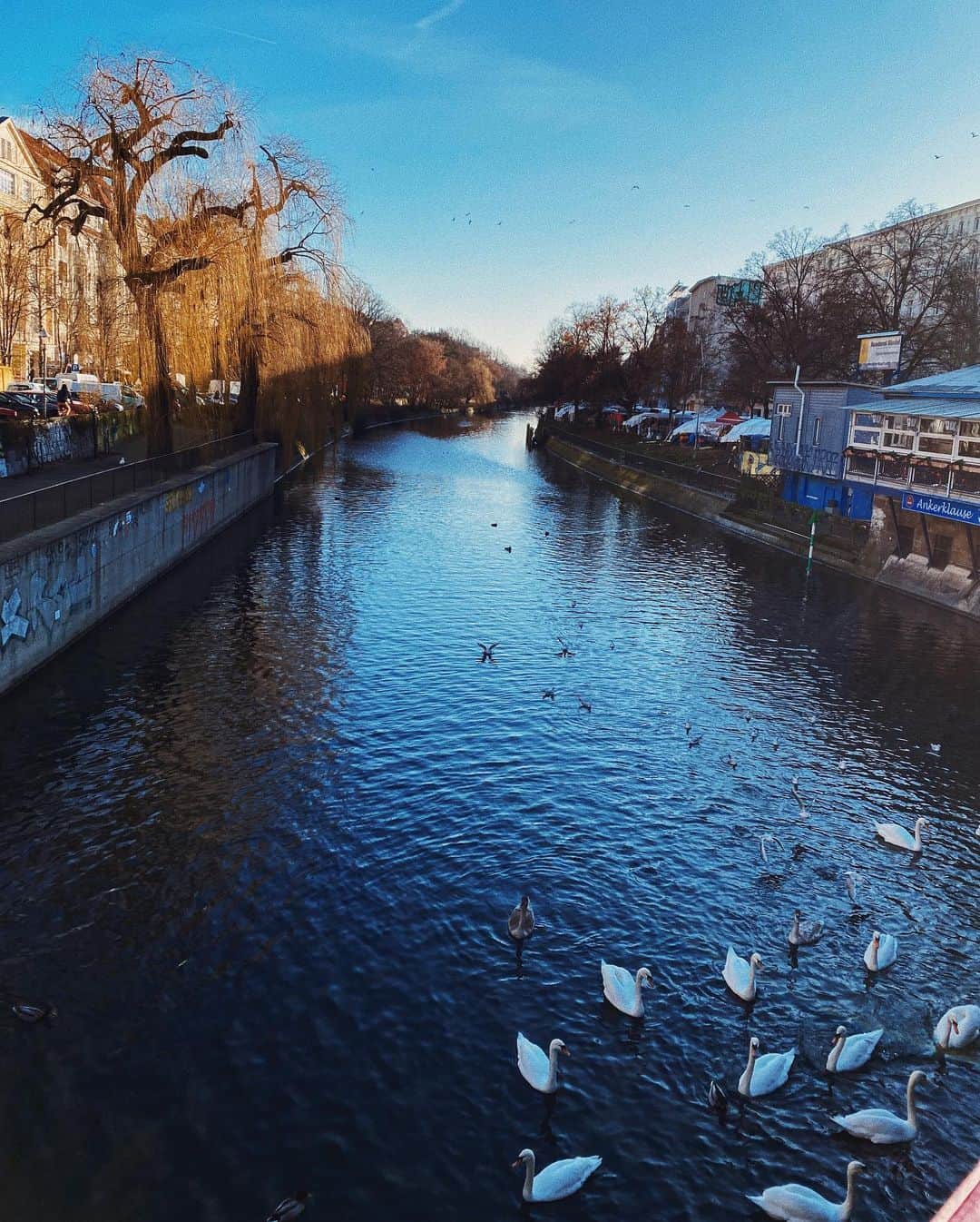 STIL IN BERLINのインスタグラム：「One day of cold + 🌞 . . . #berlin #berlinovic #berlinwinter #kreuzberg #landwehrkanal #winterinberlin」