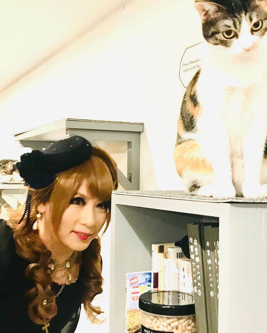 HIZAKIさんのインスタグラム写真 - (HIZAKIInstagram)「「みゅーじにゃんメイト」ご視聴ありがとうございました！ お洋服は、#moimememoitie  #十字架ワンピース です。  #HIZAKI #猫 #猫カフェ」1月21日 23時16分 - hizaki_official