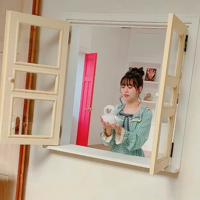 のインスタグラム：「・ ・ ・ インスタの方が少し画質綺麗だね！✨ 「かやたんのあくありうむ」 はじめてのイベント、2月29日のパンフレットやブロマイド、缶バッチなどのグッズの撮影動画を載せますね♡  どんな写真でグッズ作られるのか楽しみにしててね！💓 #aquarium #かやたん #奥野香耶」