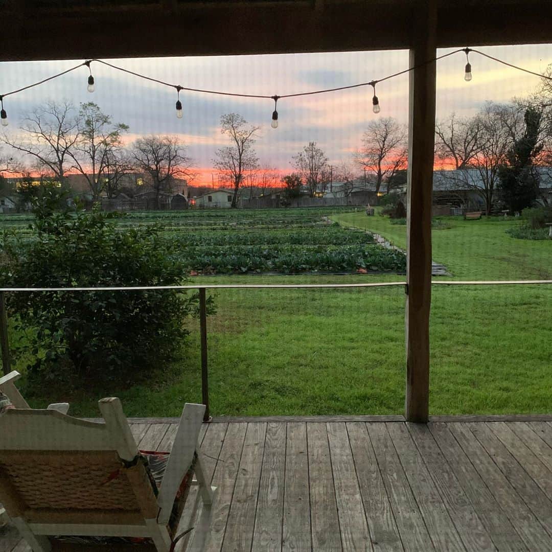 マギー・グレイスのインスタグラム：「A warm thank you to Miss Carol Anne & @boggycreekfarmstand for sharing their special urban farm with us, it was heaven; Farmstays include a free dog named Buddy! ;) 🥬🥕🥚👩🏼‍🌾🐓🐕 #texasfarmsandranches #urbanfarms #sustainableagriculture」