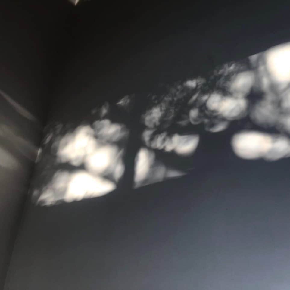 太田りこのグルメインスタ