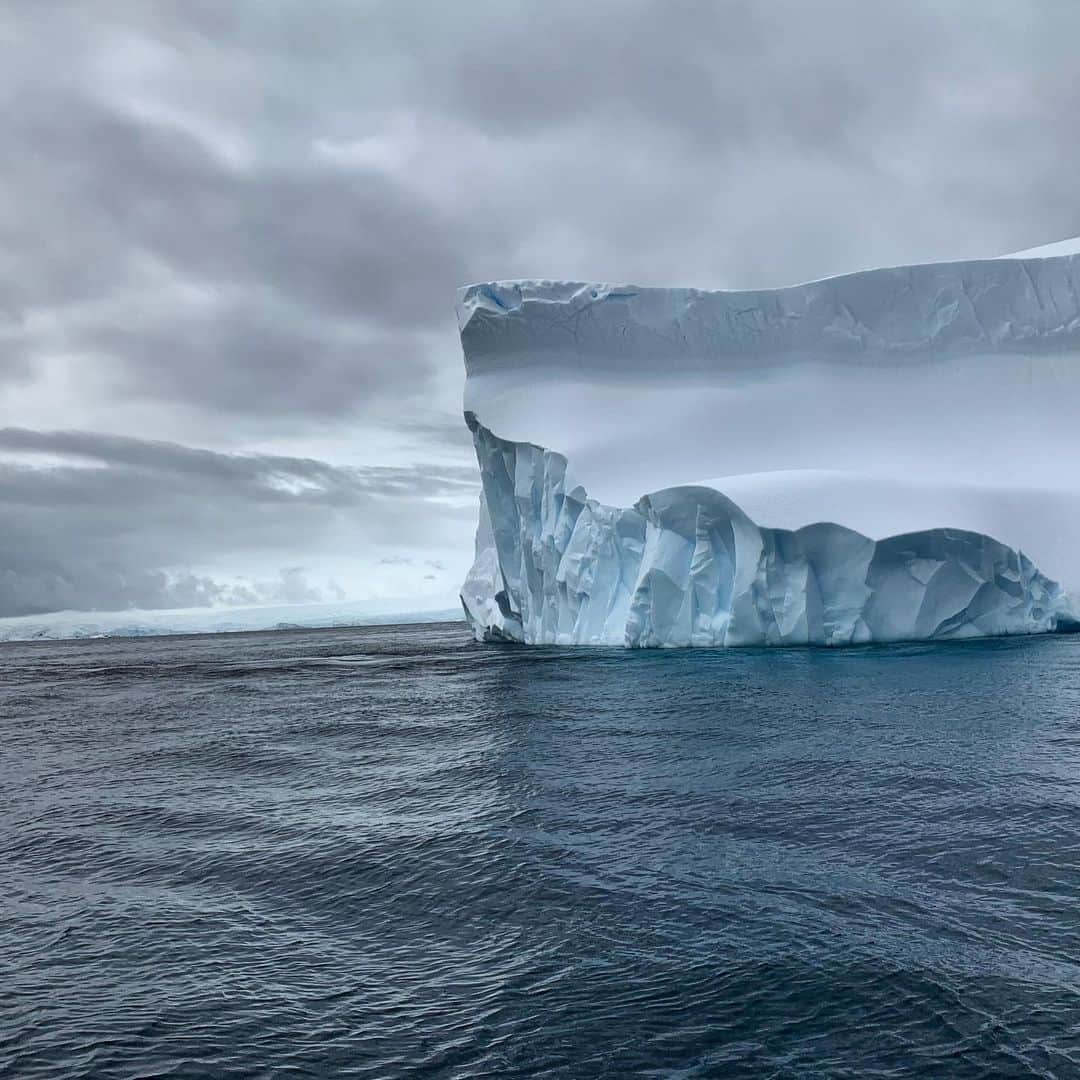 のインスタグラム：「WoW Antarctica  @greenpeace @greenpeace_france #ProtectTheOceans #PoletoPole #ArcticSunrise #Greenpeace 📸 @marioncotillard」