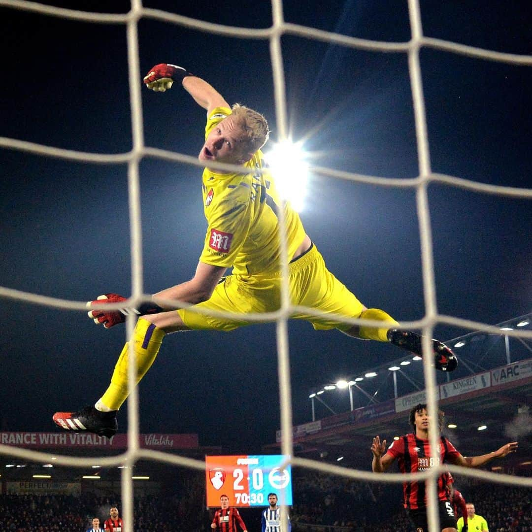 プレミアリーグさんのインスタグラム写真 - (プレミアリーグInstagram)「Bournemouth bouncing back❓」1月22日 7時33分 - premierleague