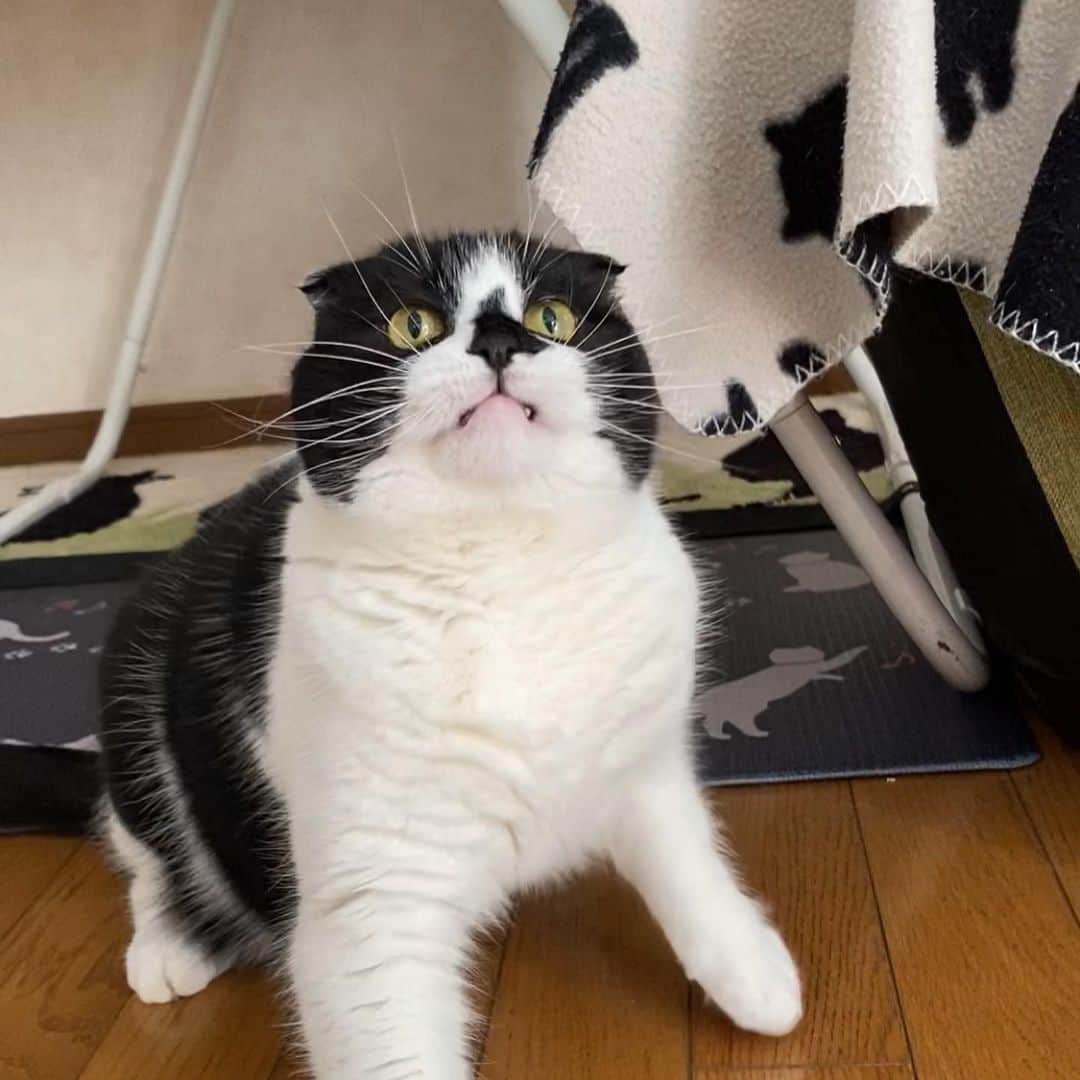 tiaichimaのインスタグラム